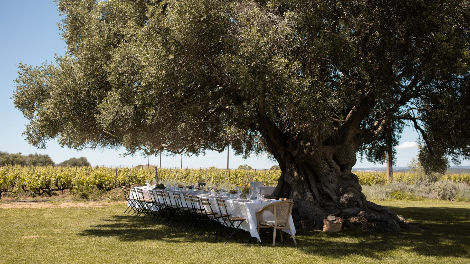VILA VITA PARC WINE CELLAR